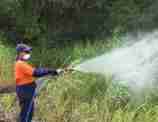 Spraying Glyphosate Darwin